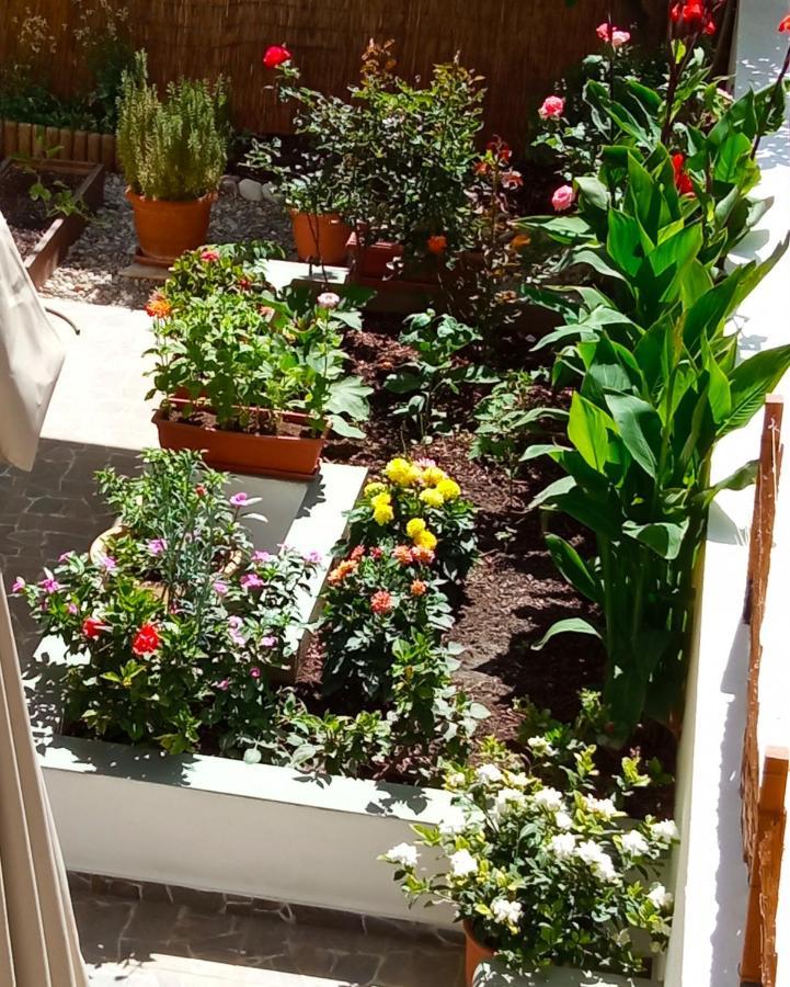 Charming Garden Apartment Rhodes City Room photo